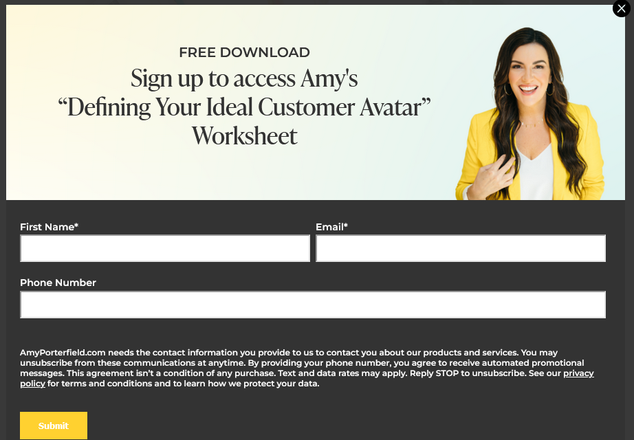 11 Ways to Repurpose a Podcast Amy Porterfield Example